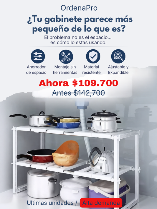 ORGANIZADOR EXPANDIBLE